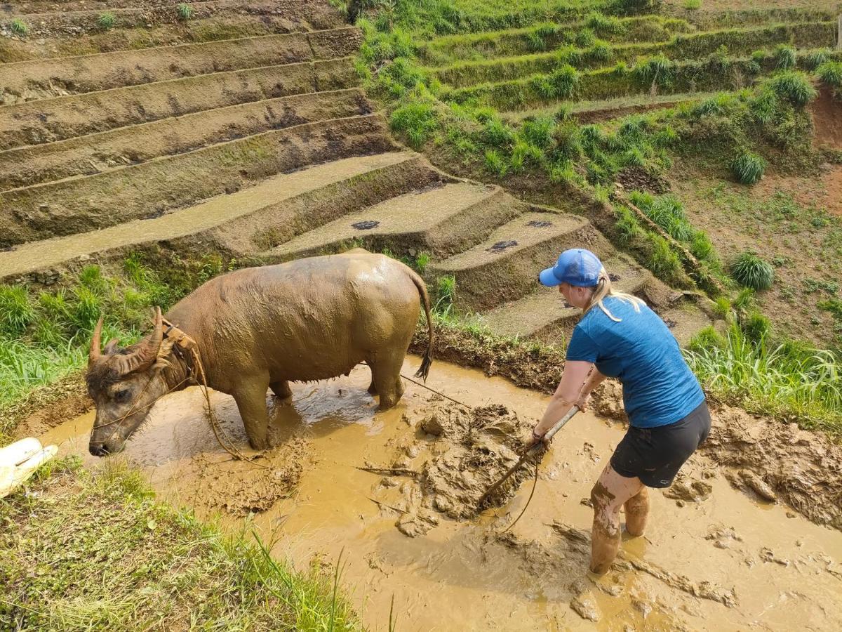 Indigenous Homestay- Trek- Food- Bus Mu Cang Chai Exterior photo